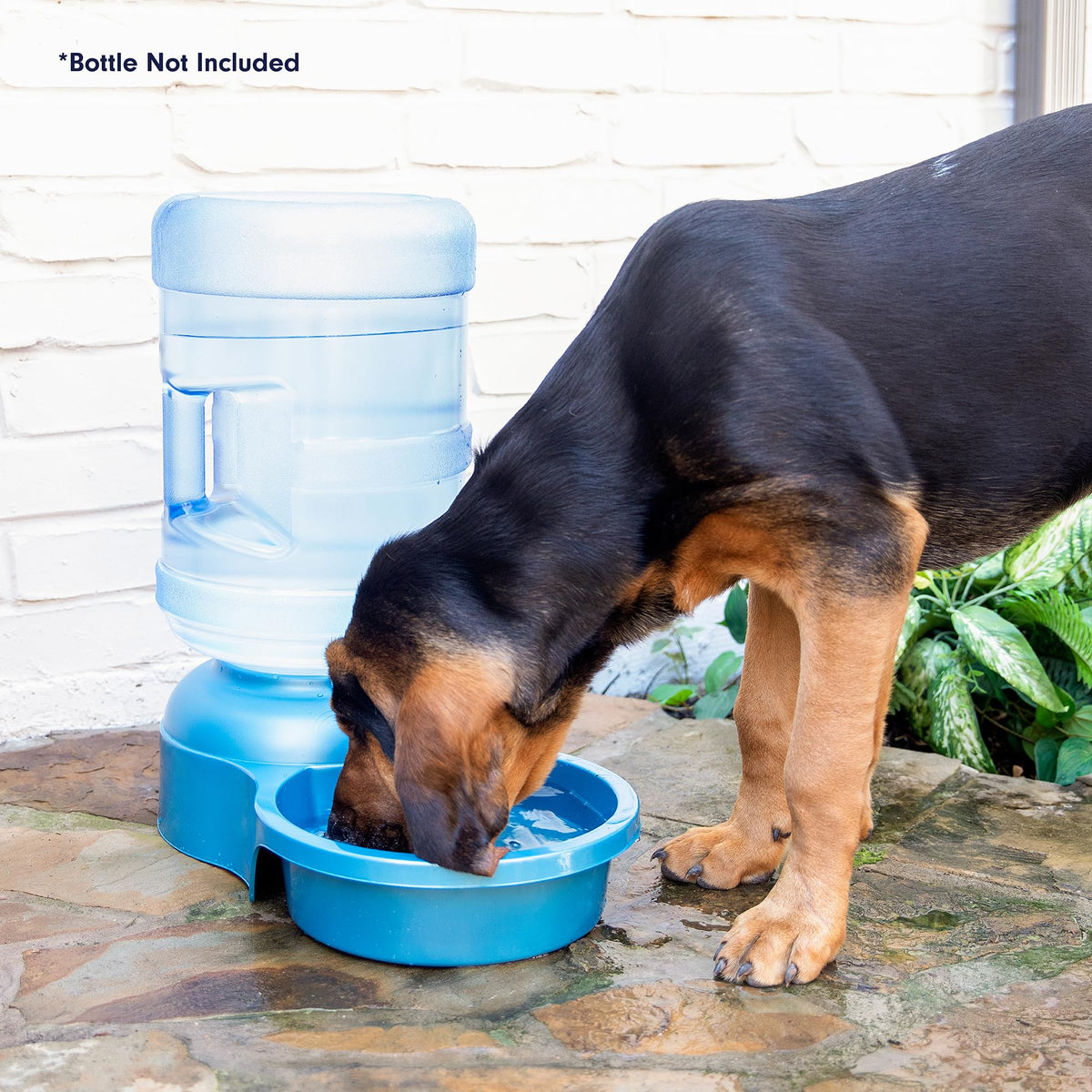 Petmate Big Blue Outdoor Pet Water Bowl, 5 Gallons, Jug not Included