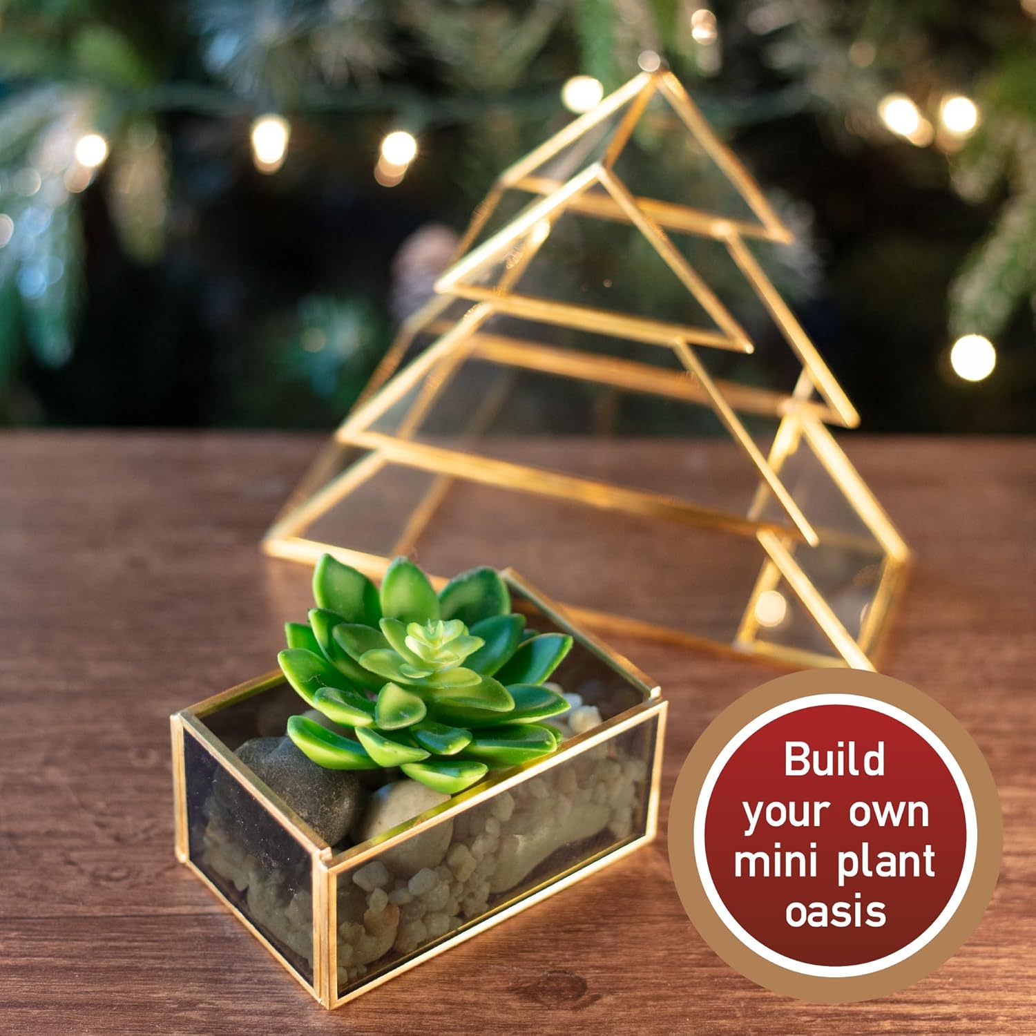 Buy now Christmas Tree Glass Terrarium- 8" Festive Planter for Holiday Home Decor- Add Xmas Cheer w DIY Succulents, Lights & Ornaments- Tabletop Centerpiece or Mantel, Office Decorations- Plant Lovers Gift at indiglob india