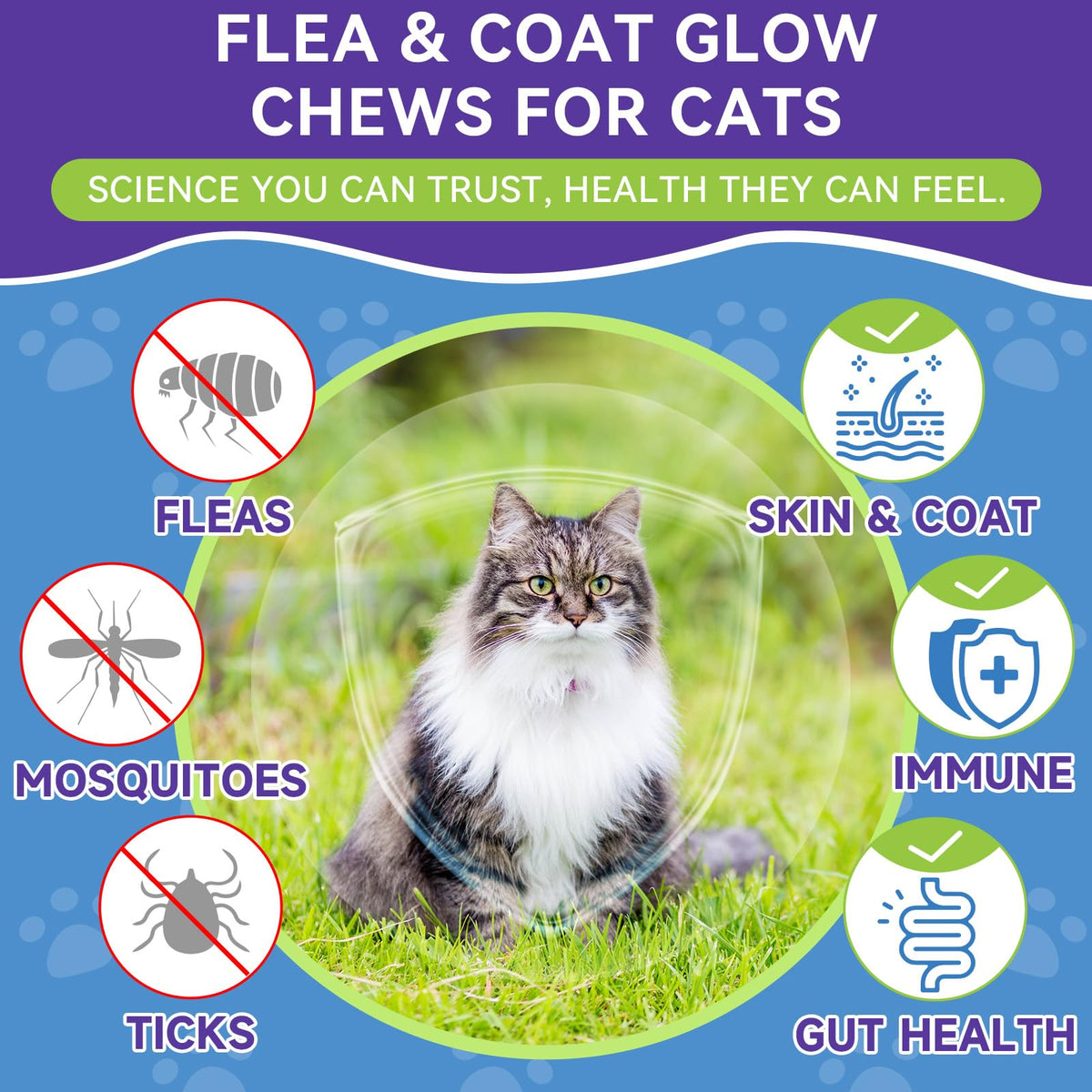 Flea and Tick Prevention for Cats, Cat Flea and Tick Treatment, 500 Chews