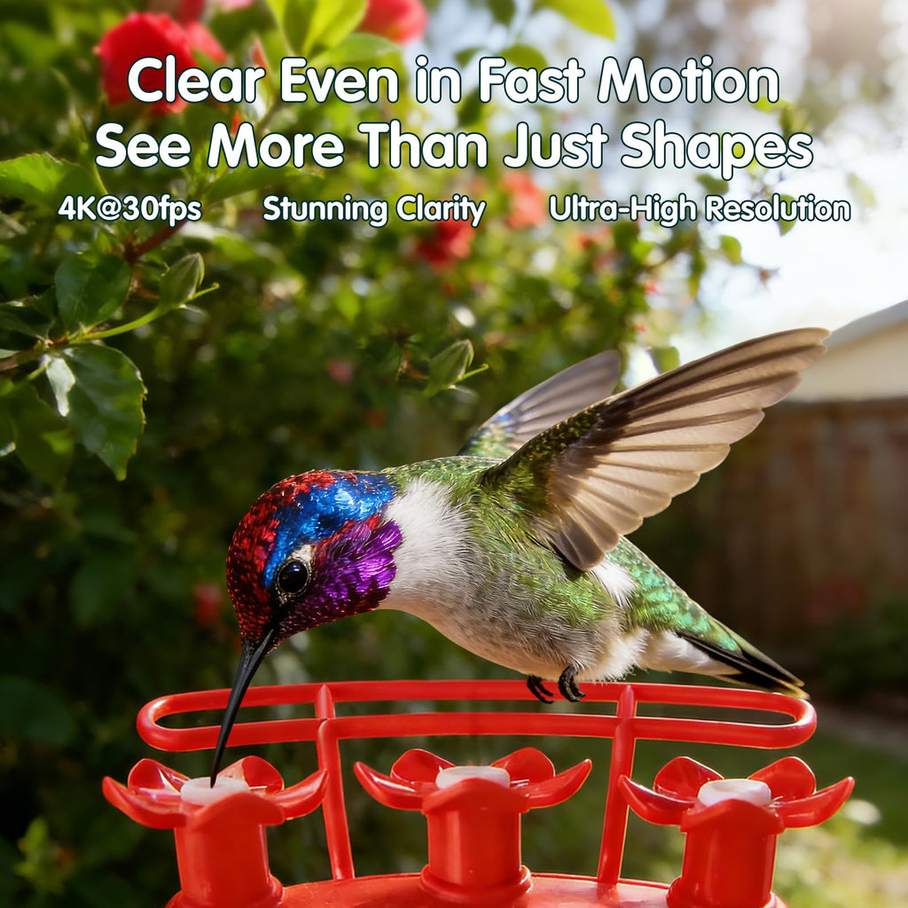 4K Hummingbird Feeder with Camera,No Subscription,Solar Powered