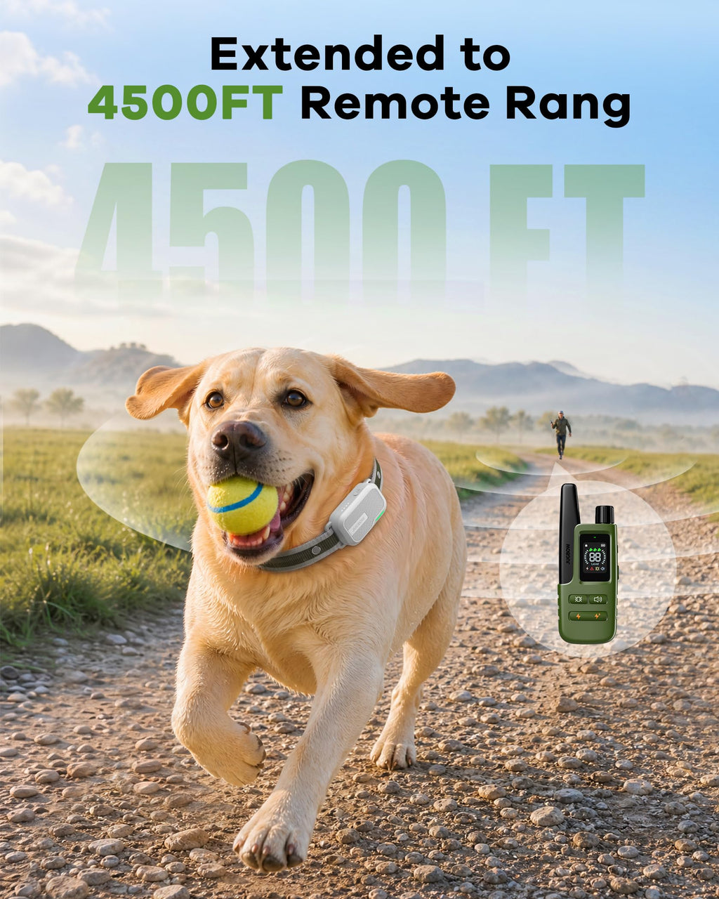 Shock Collar for Dogs 3 Pack - 4500FT Dog Training Collar ,Green