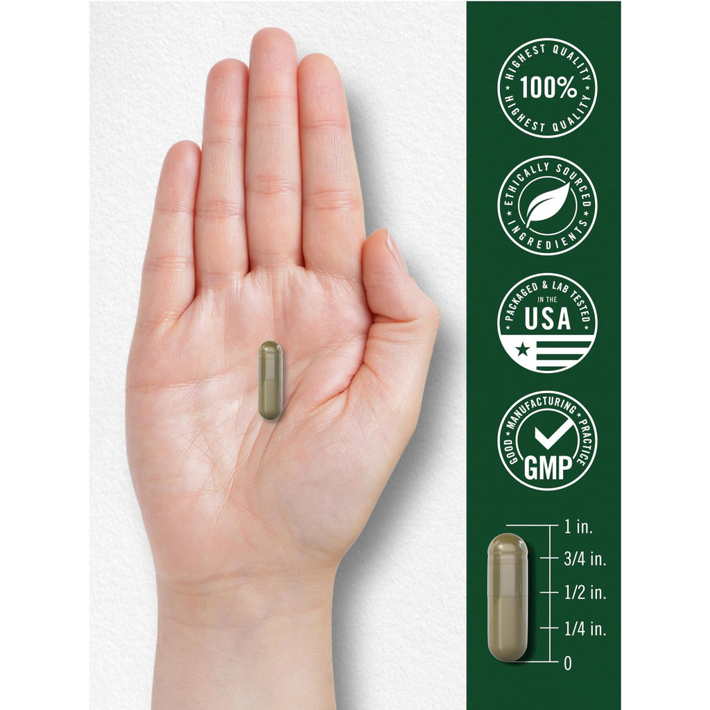 Carlyle Fruits and Veggies Supplement | 250 Capsules | Made With 30 Fruits and Vegetables | Vegetarian, Non-GMO, Gluten Free Superfood Formula