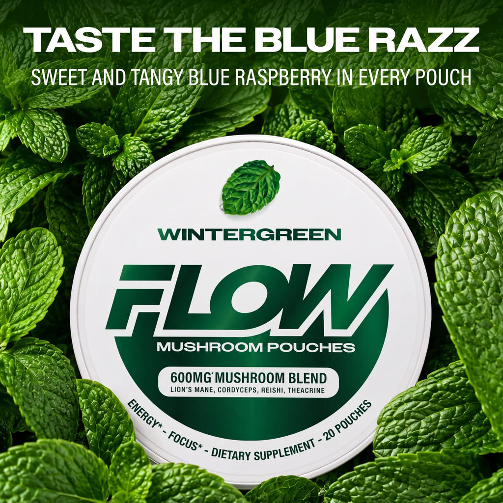 Mushroom Nootropic Pouches, 600mg Lion's Mane Reishi Cordyceps Energy Pouches for Focus and Clean Energy, Caffeine Free Sugar Free Nicotine Free, Now Made in USA (5 Cans, Wintergreen)