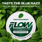 Mushroom Nootropic Pouches, 600mg Lion's Mane Reishi Cordyceps Energy Pouches for Focus and Clean Energy, Caffeine Free Sugar Free Nicotine Free, Now Made in USA (5 Cans, Wintergreen)