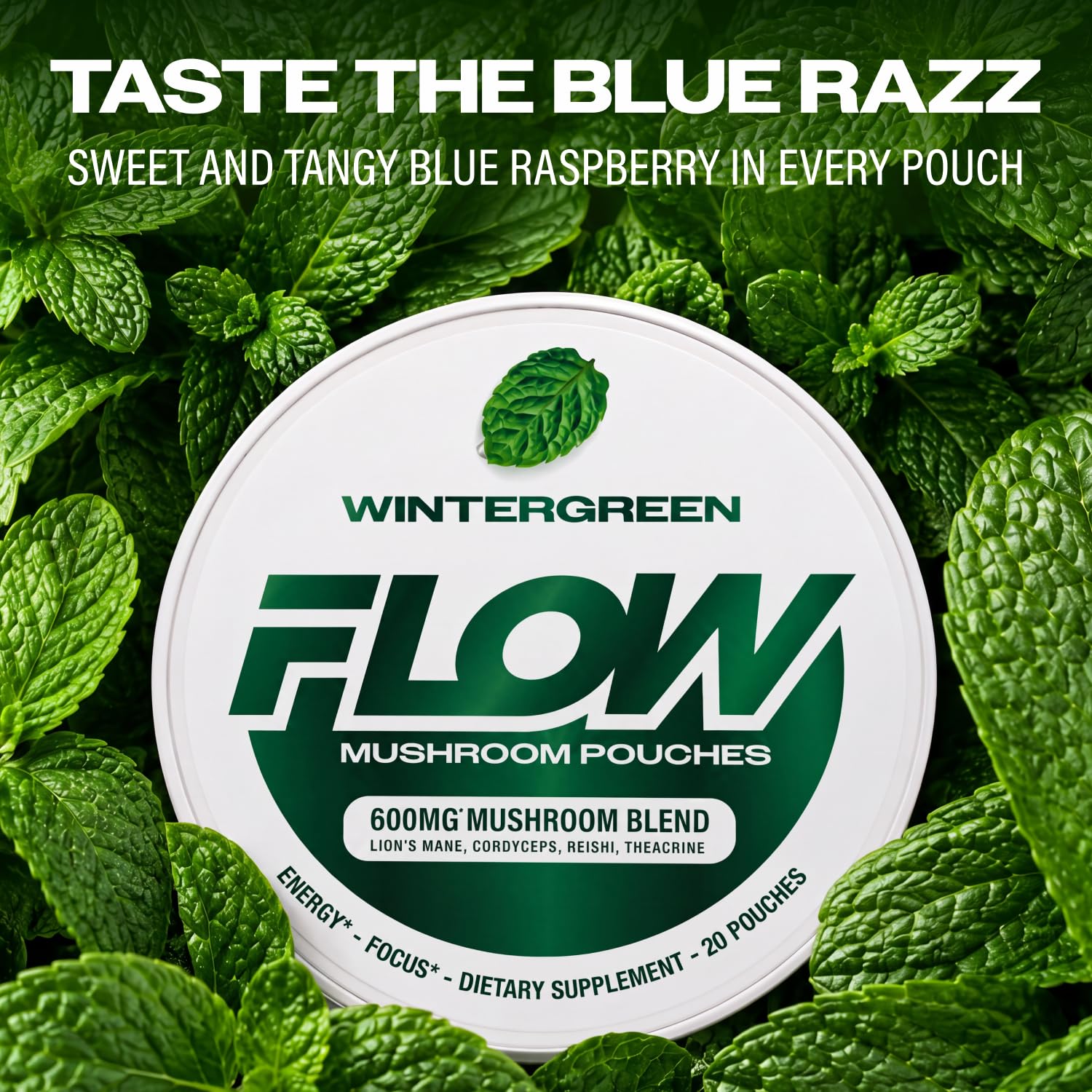 Mushroom Nootropic Pouches, 600mg Lion's Mane Reishi Cordyceps Energy Pouches for Focus and Clean Energy, Caffeine Free Sugar Free Nicotine Free, Now Made in USA (5 Cans, Wintergreen)