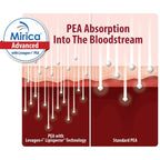 Mirica Advanced - High Absorption Formula, Palmitoylethanolamide (Pea) Luteolin and Polydatin, Nervous System Support Capsule, 60ct