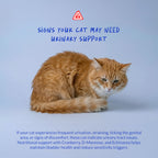 Cranberry Supplement for Cat UTI Treatment & Bladder Support with D-Mannose