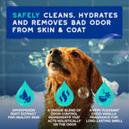 DOUXO SPA Dog Shampoo for Smelly Dogs, 16 fl oz