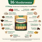 16 in 1 Mushroom Powder, Mushroom Coffee Alternative, 100% Fruiting Bodies
