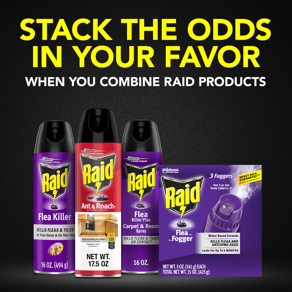 Raid Flea Fogger Plus Killer, Kills Fleas and Hatching Eggs, Lasts for up to 4 Months, Indoor Fogger, 3 Count (Pack of 3)