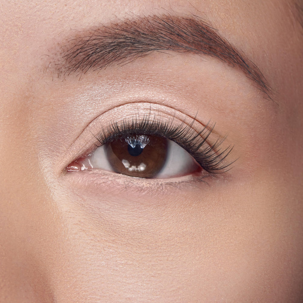 Falscara, False Eyelashes, Lash Clusters, 'Classic Natural', 8mm-16mm, Includes 50 Wisps, Contact Lens Friendly, Easy to Apply, Reusable Lash Clusters
