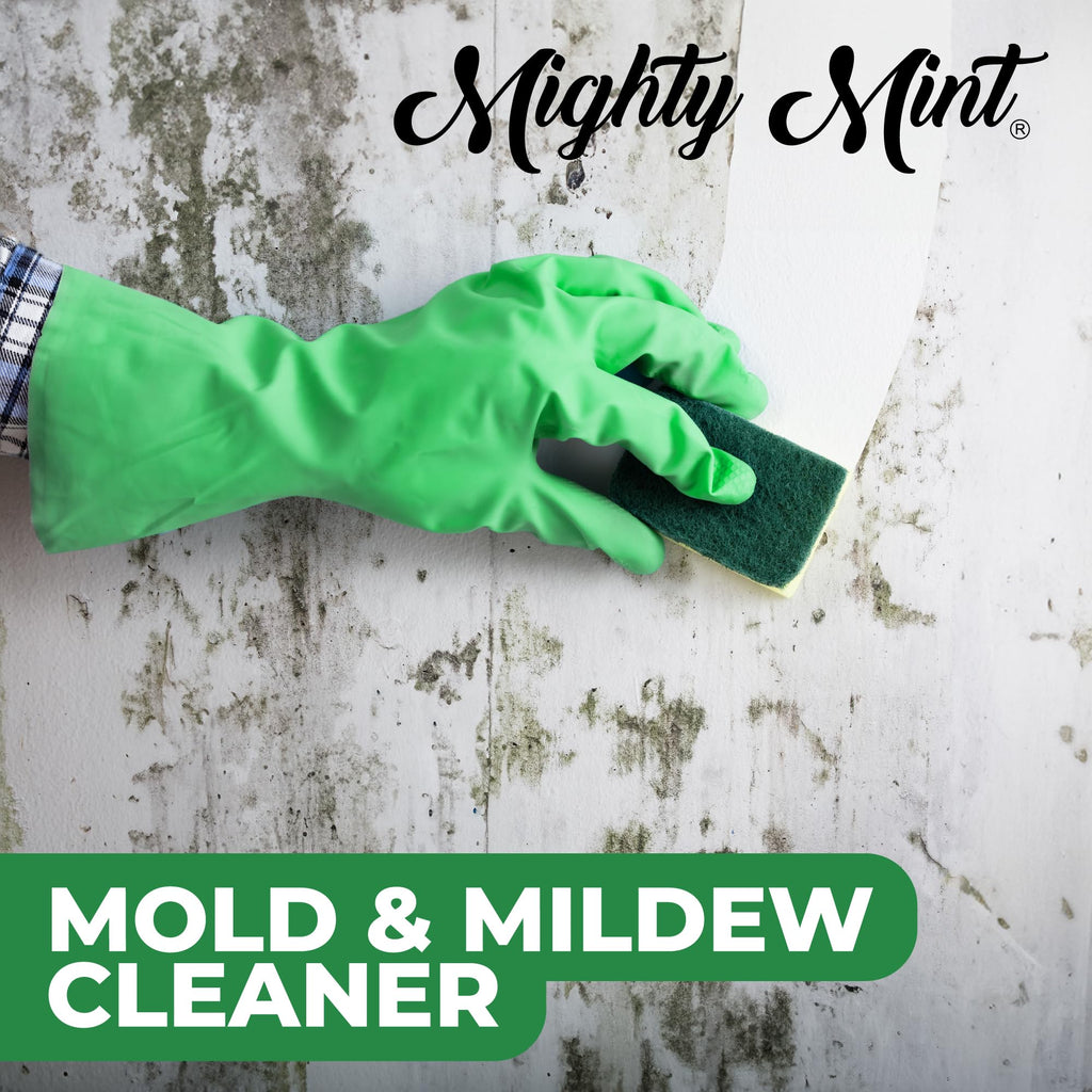 Mighty Mint Mold & Mildew Stain Remover Spray, Rapid Clean for Bathroom, Kitchen, Hard Water, Outdoors, Natural Peppermint Scent, 16oz
