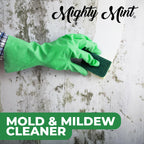 Mighty Mint Mold & Mildew Stain Remover Spray, Rapid Clean for Bathroom, Kitchen, Hard Water, Outdoors, Natural Peppermint Scent, 16oz