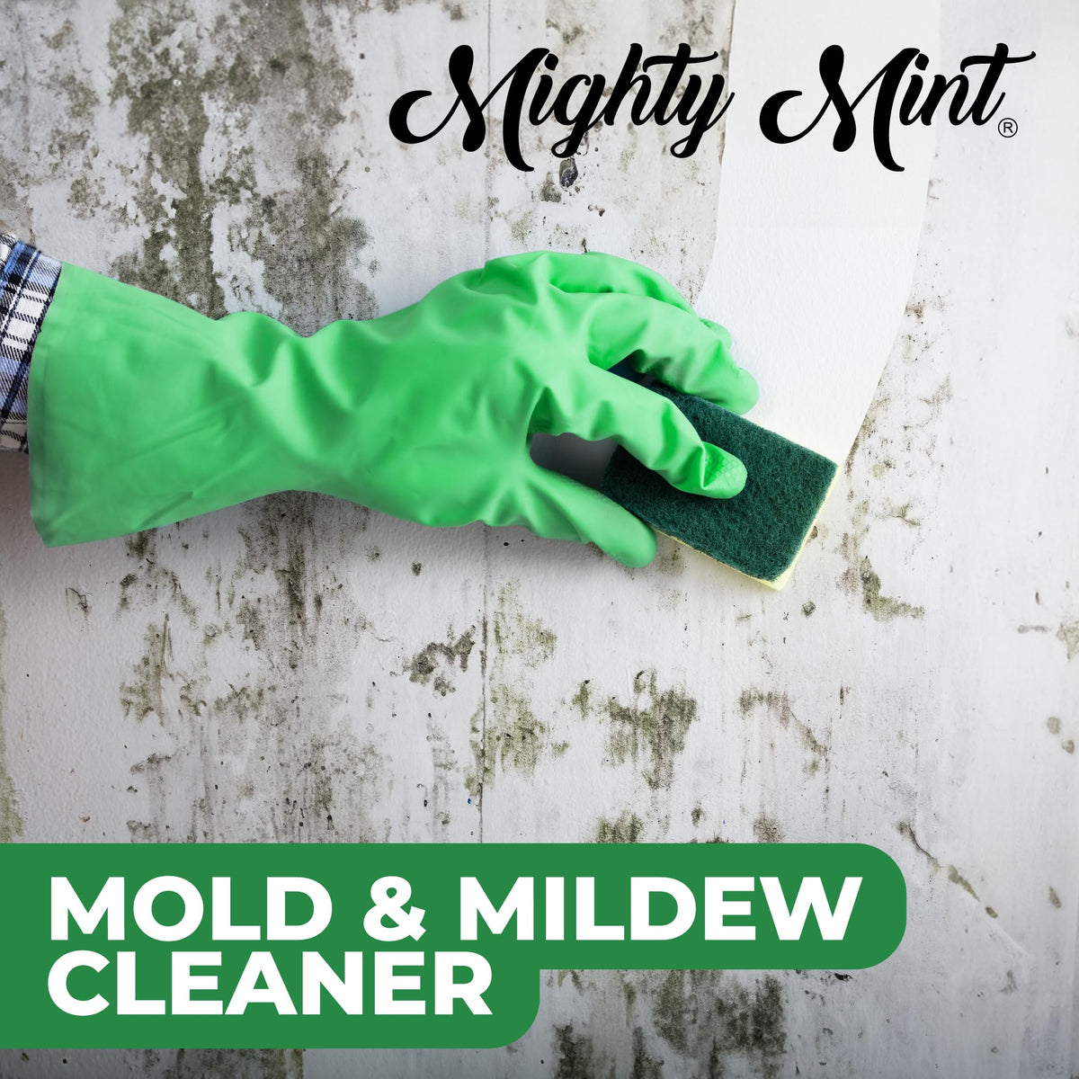 Mighty Mint Mold & Mildew Stain Remover Spray, Rapid Clean for Bathroom, Kitchen, Hard Water, Outdoors, Natural Peppermint Scent, 16oz