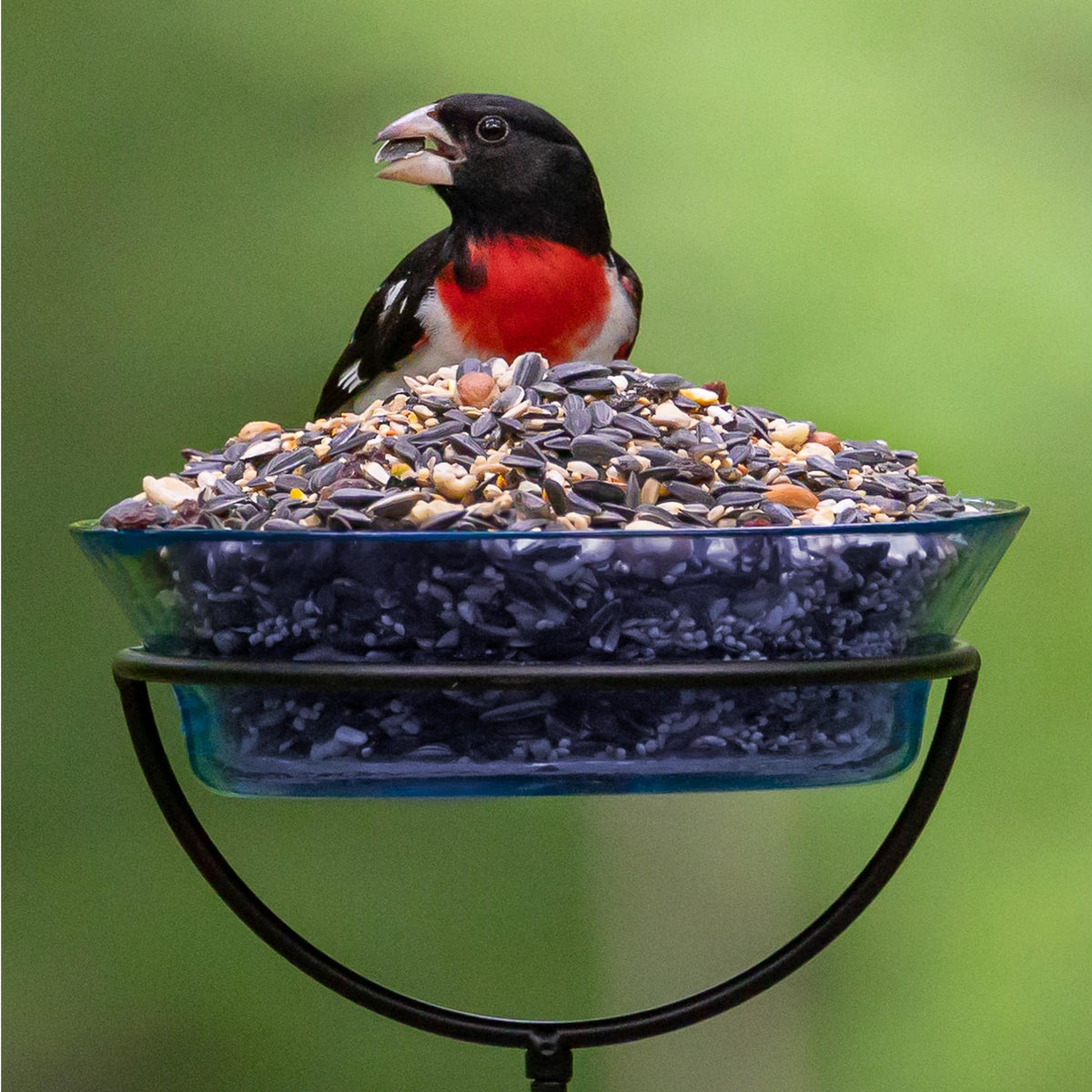 Audubon Park Extreme Variety Wild Bird Seed for Outside Feeders, 15-lb. Bag