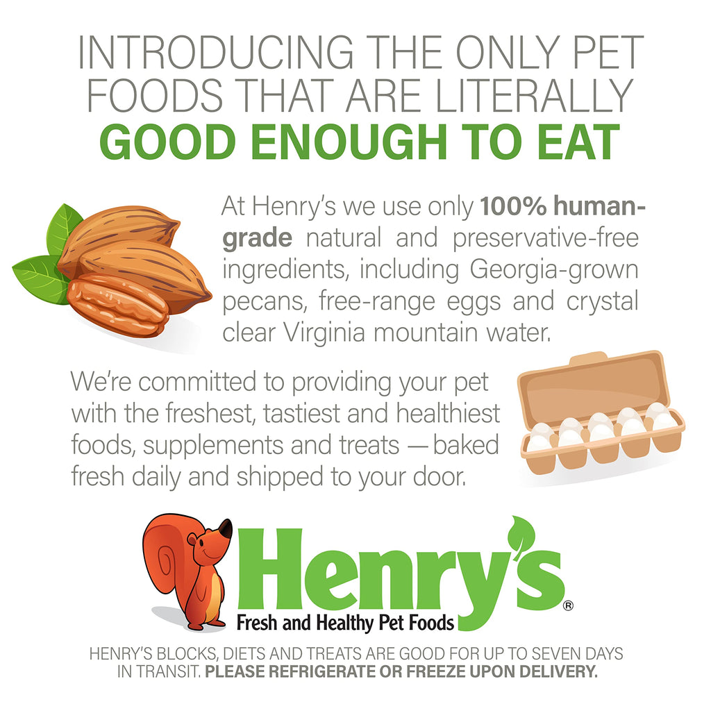 Henry's Healthy Blocks Food for Squirrels, Flyers, Rats and Mice