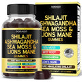 Shilajit Gummies with Sea Moss, Ashwagandha & Lions Mane - (Shilajit Supplement for Men & Women, Energy & Immunity Support ) Third Party Tested, Vegan Safe, NON GMO & Made in USA (60 Gummies)