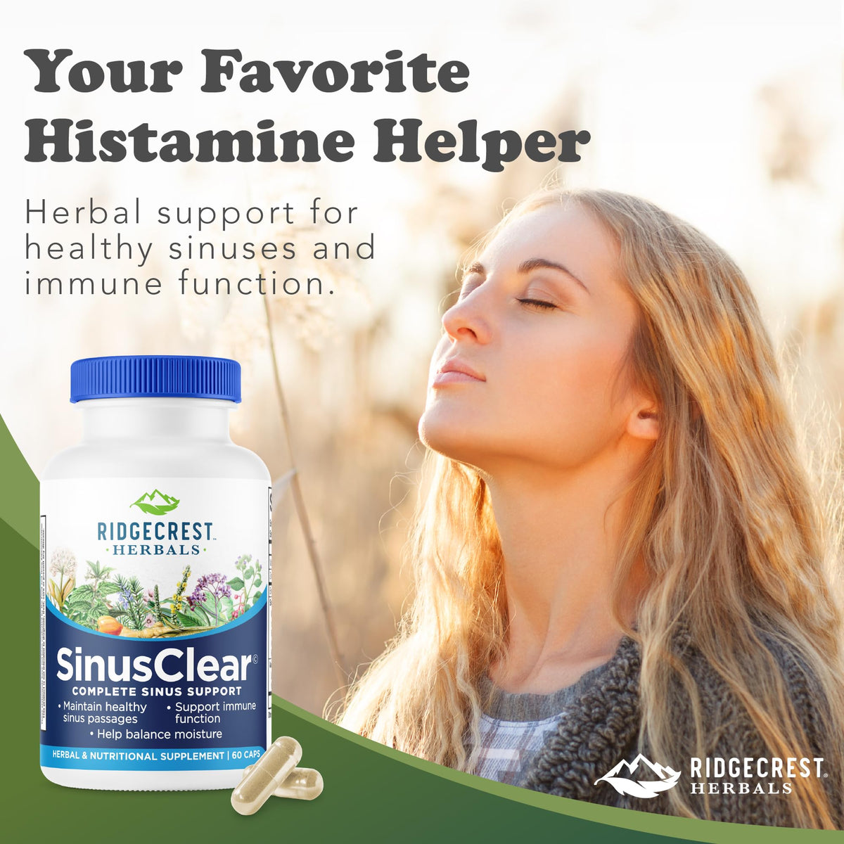 RidgeCrest Herbals SinusClear Mullein Sinus, Nasal and Immune Support 60 Ct