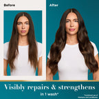 OGX Renewing + Argan Oil of Morocco Shampoo & Conditioner, 2 x 13 fl. oz