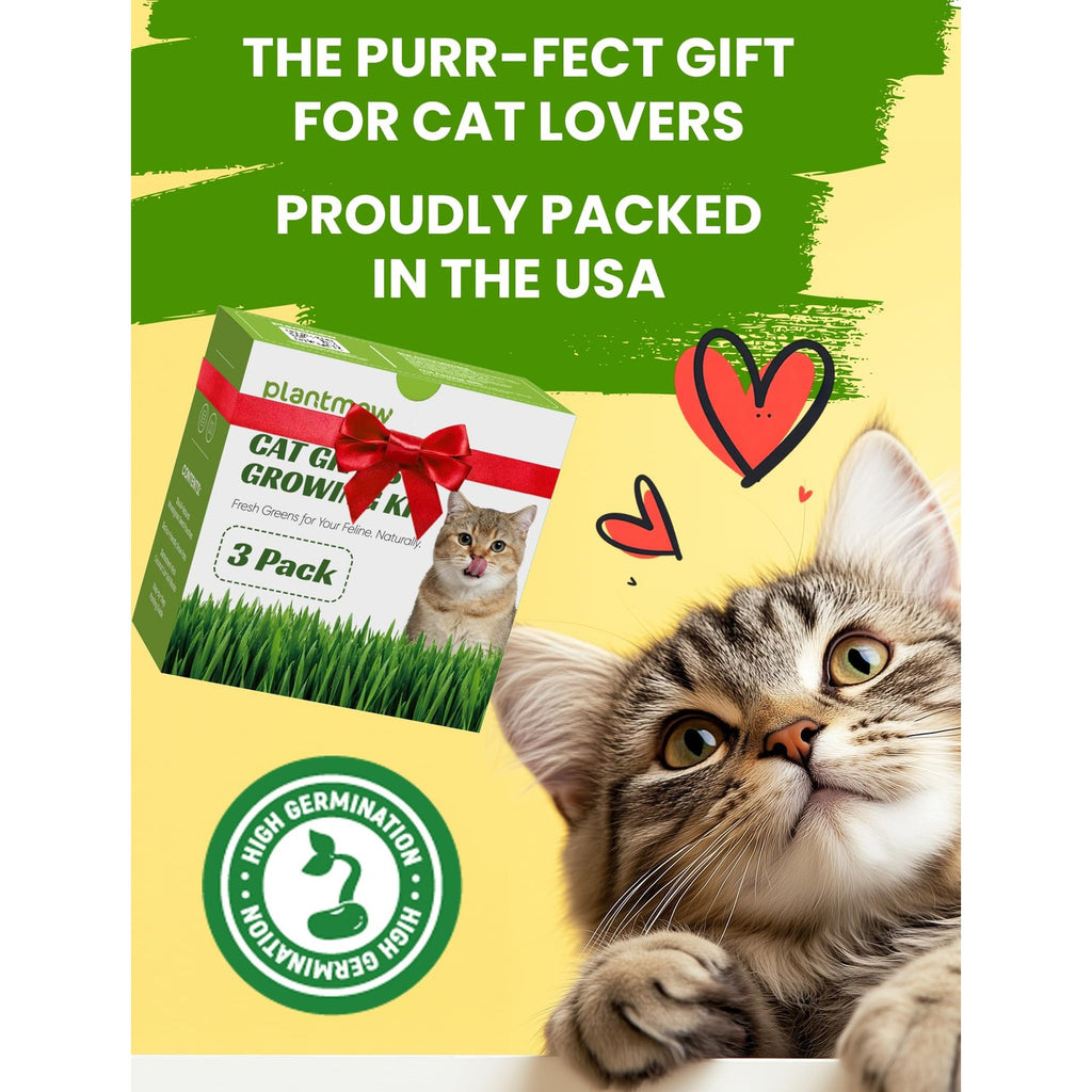 Cat Grass Kit for Indoor Cats, 3 Pack Fast Growing Cat Grass Kit with Eco-Friendly Biodegradable Pots, Soil & Wheatgrass Seeds, Grows in 3-7 Days with High Germination Rate