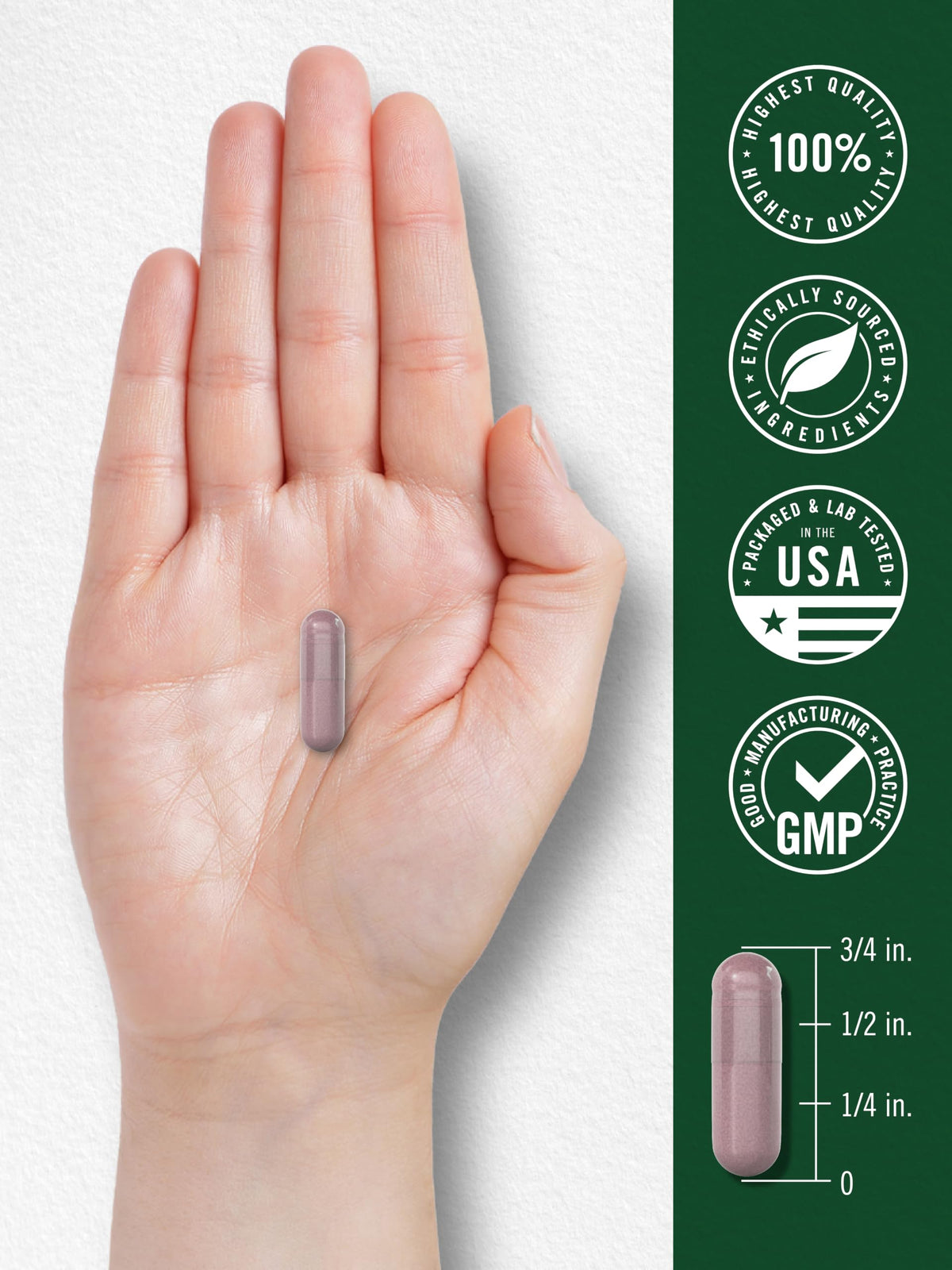 Carlyle Hibiscus Flower Extract | 120 Capsules