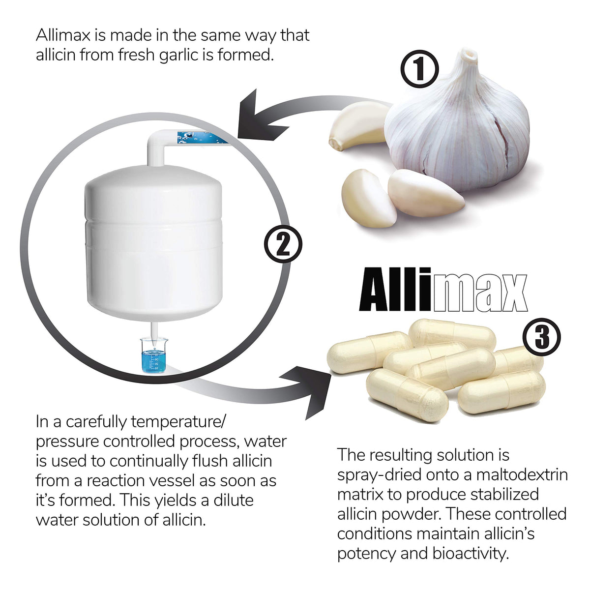Allimax Pro Practitioner Strength 450 mg Allicin from Garlic, 100 Vegetarian Capsules (Vegicaps), Stabilized AlliSURE® Allicin, Supports Normal Immune Function, Non-GMO