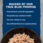 Blue Buffalo Wilderness Salmon Paté Adult Wet Cat Food, 3 oz, 24 ct