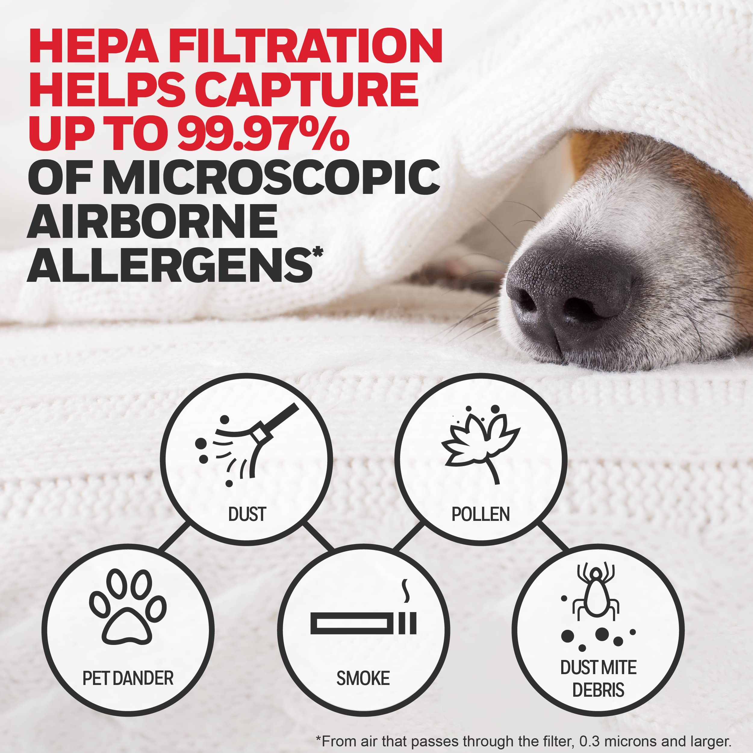 Buy now Honeywell HEPA Air Purifier Filter Kit – Includes 1 HEPA R Replacement Filter and 4 A Carbon Pre-Cut Pre-Filters – Airborne Allergen Air Filter Targets Wildfire/Smoke, Pollen, Pet Dander, and Dust at indiglob india