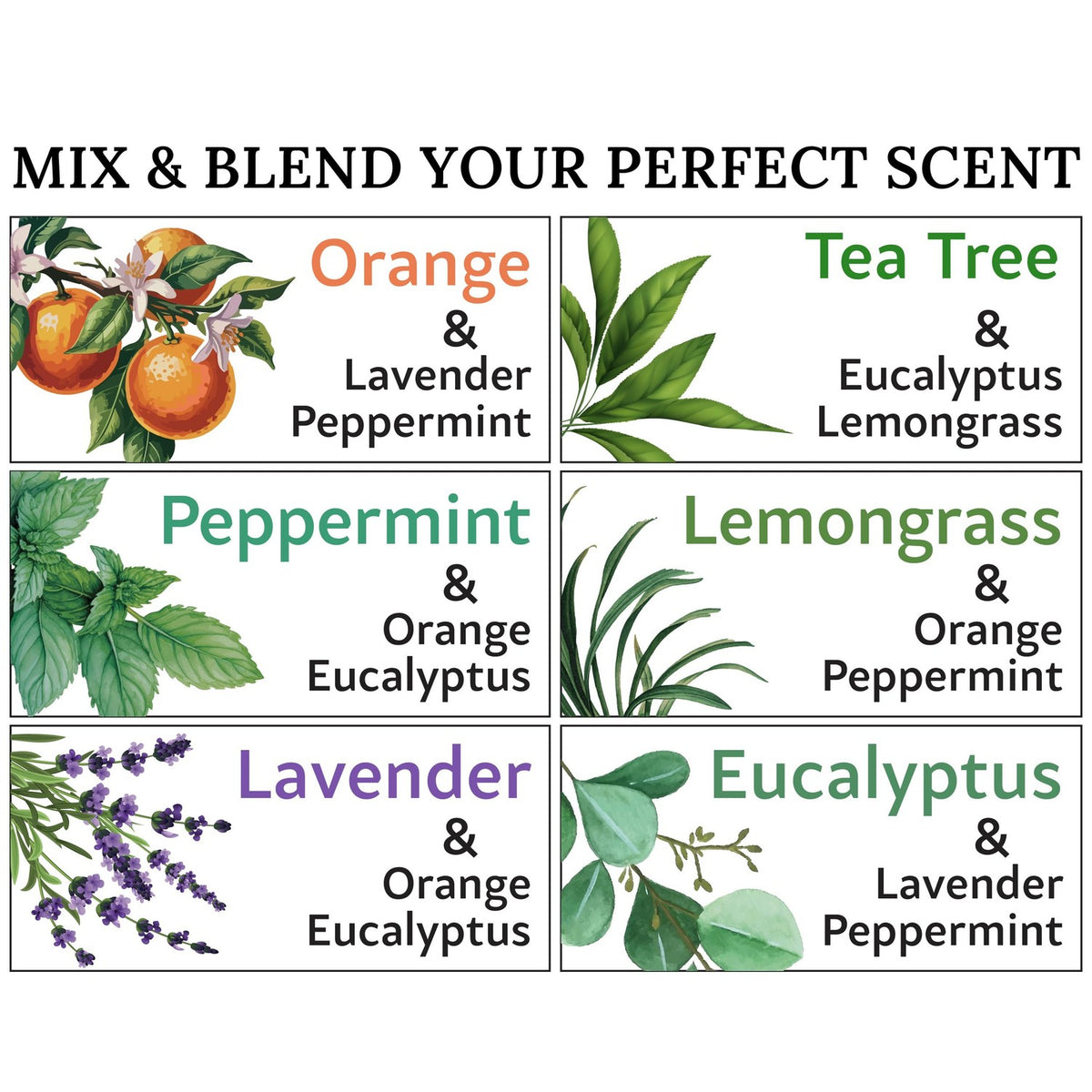 Essential Oils Set - Top 6 Oils for Diffusers for Home, for Air Purifier