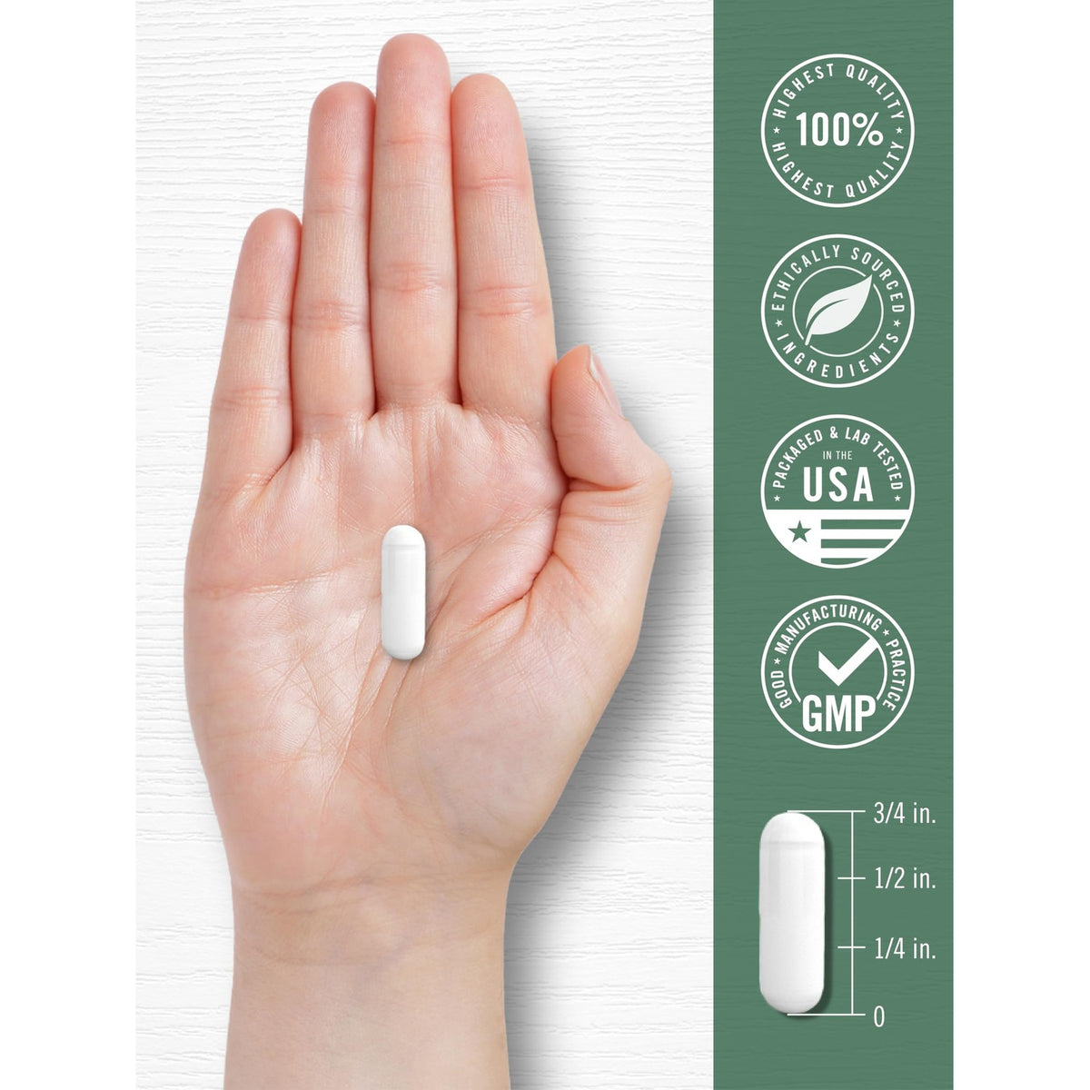 Carlyle Devil's Claw Herbal Supplement | 200 Capsules