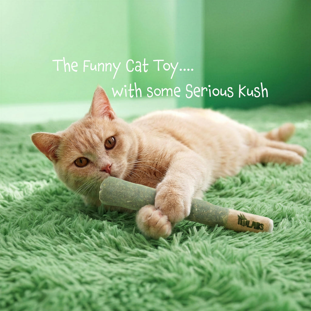 LIT LABS Cat Doobie 3 Pack Catnip Toys for Cats, Funny Cat Toys, Safe Kitten Teething Chew and Kicker Toys, Stress-Relieving Indoor Cat Gifts that Hit Different