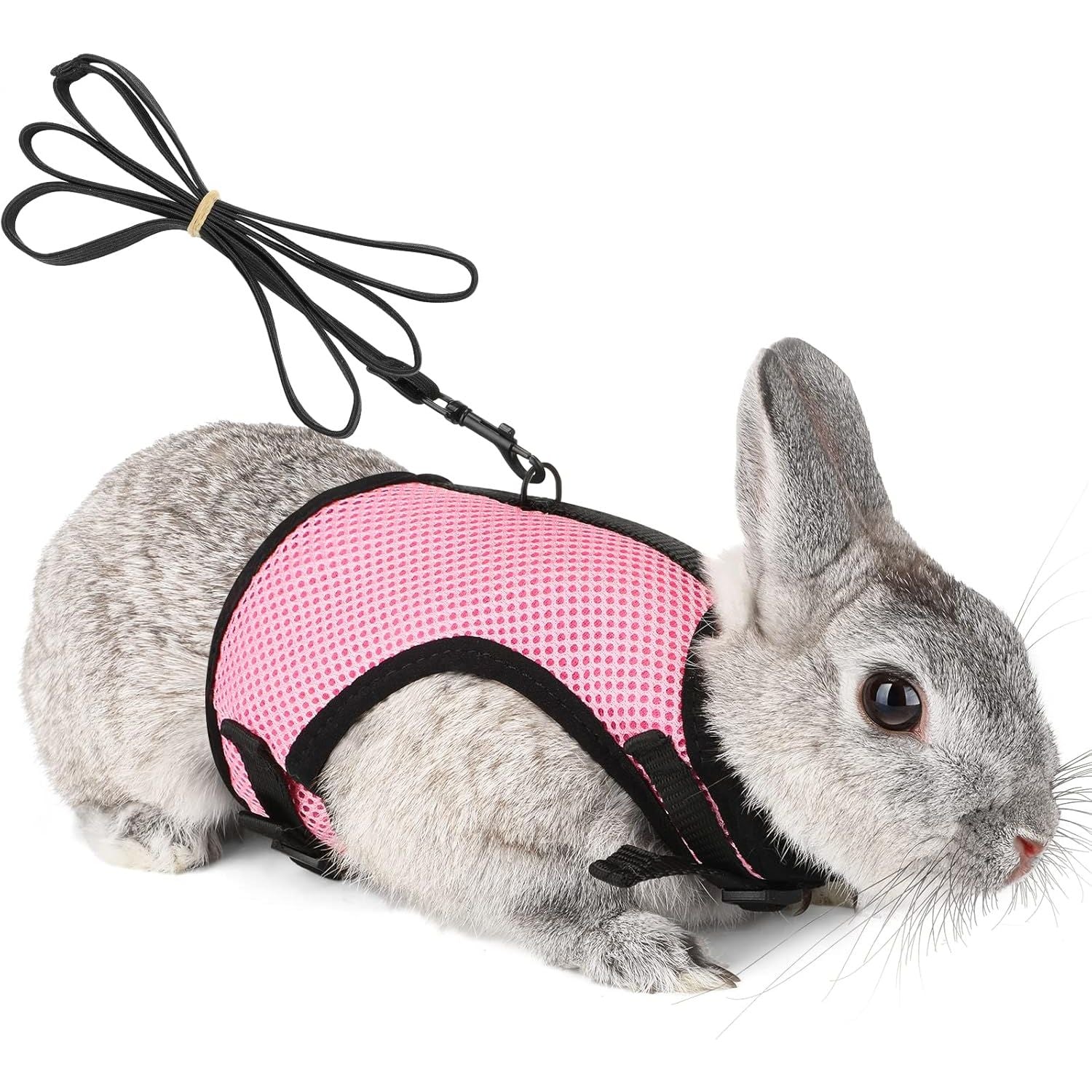 Buy now PETTOM Bunny Rabbit Harness with Stretchy Leash Cute Adjustable Buckle Breathable Mesh Vest for Kitten Small Pets Walking (Blue,S) S(Chest:9.8-12.5 in) Pink at indiglob india