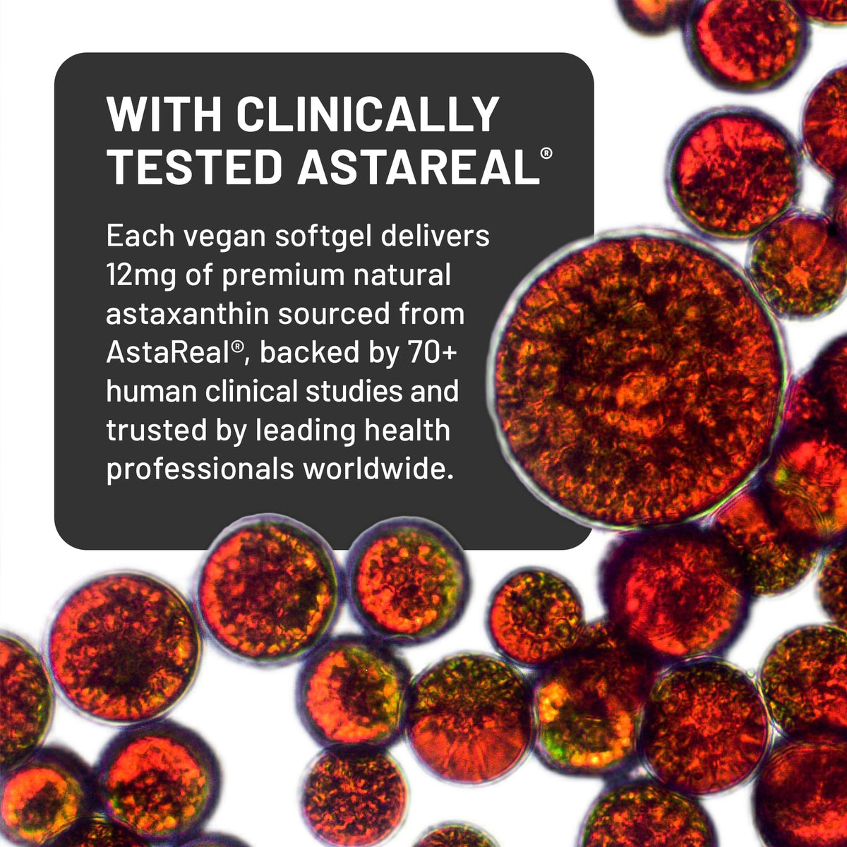 NatureWise Triple Strength Astaxanthin 12mg with AstaReal® - Vegan Antioxidant Supplement with Organic Coconut Oil - NSF Certified Gluten Free, 60 Softgels[60 Day Supply]