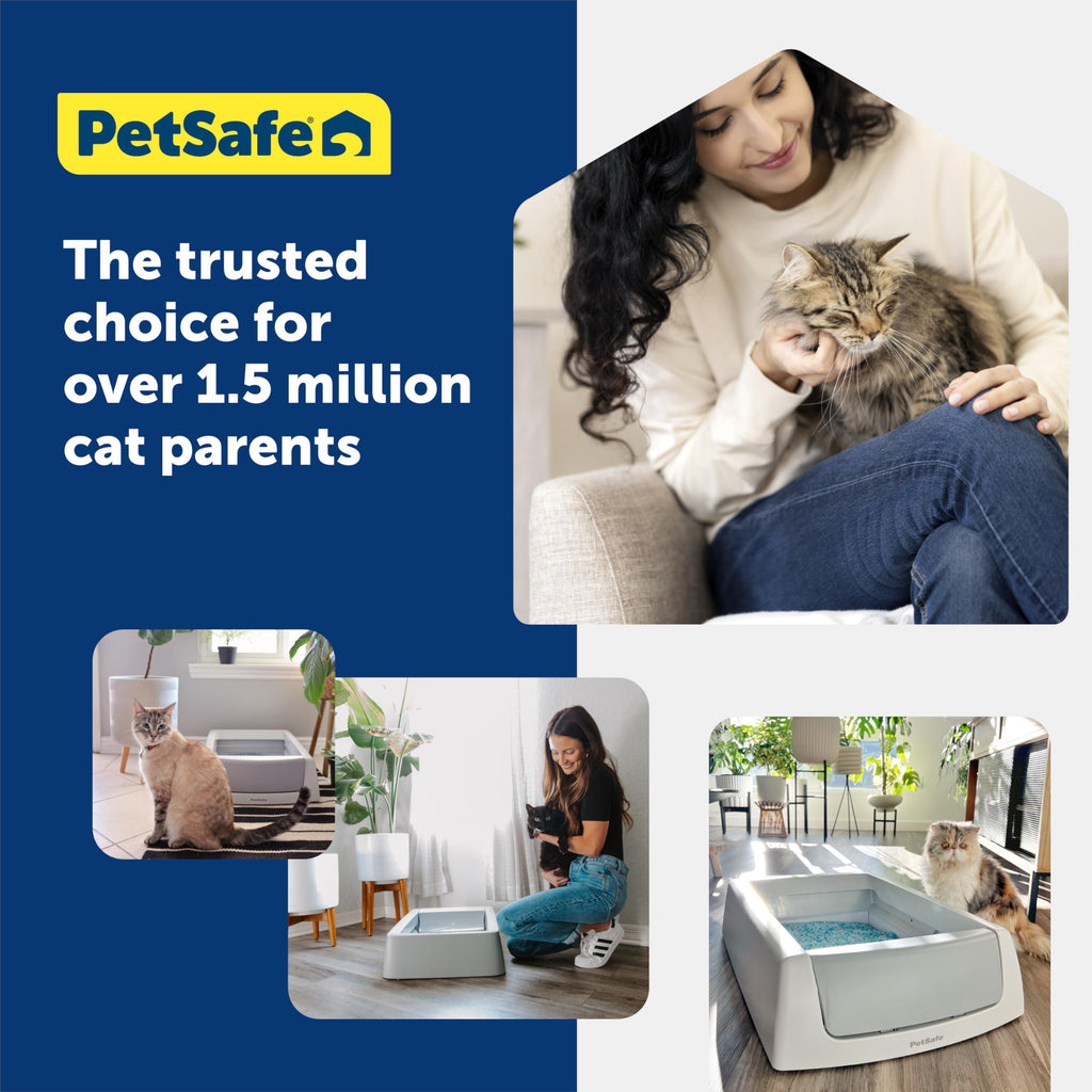 Buy now PetSafe ScoopFree Premium Natural Cat Litter - Eco-Friendly Long-Lasting Litter - High Absorbency & Low-Tracking Design - Non-Clumping Pebbles - 4.2 lb Bag - 2 Pack at indiglob india