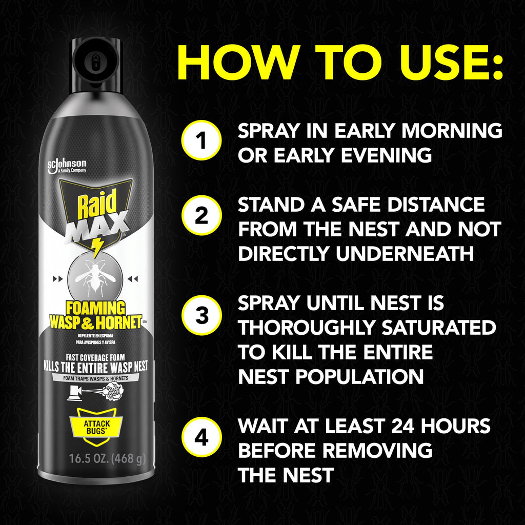 Raid MAX Foaming Wasp & Hornet Killer Bug Spray, 16.5 oz