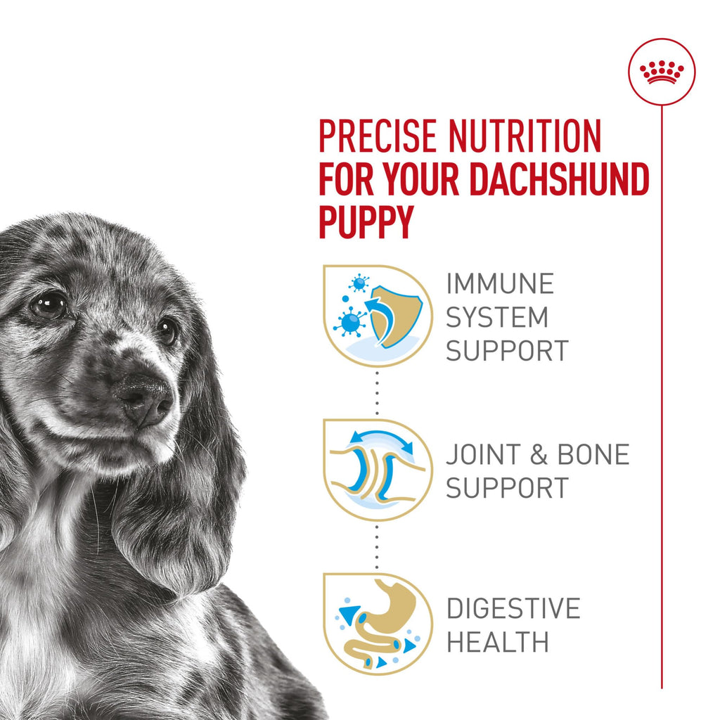 ROYAL CANIN Dachshund Puppy Dry Dog Food, 2.5 lb Bag