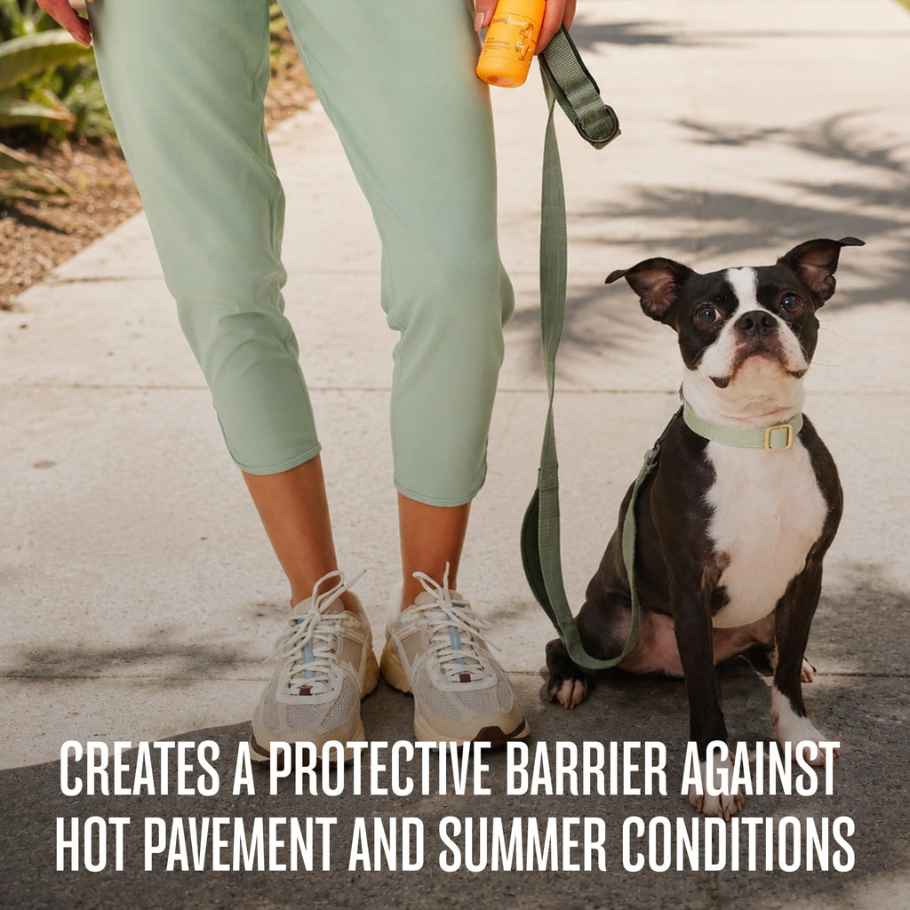 WagWell Paw Protector, Lick-Safe Dog Paw & Nose Balm for Hot Pavement