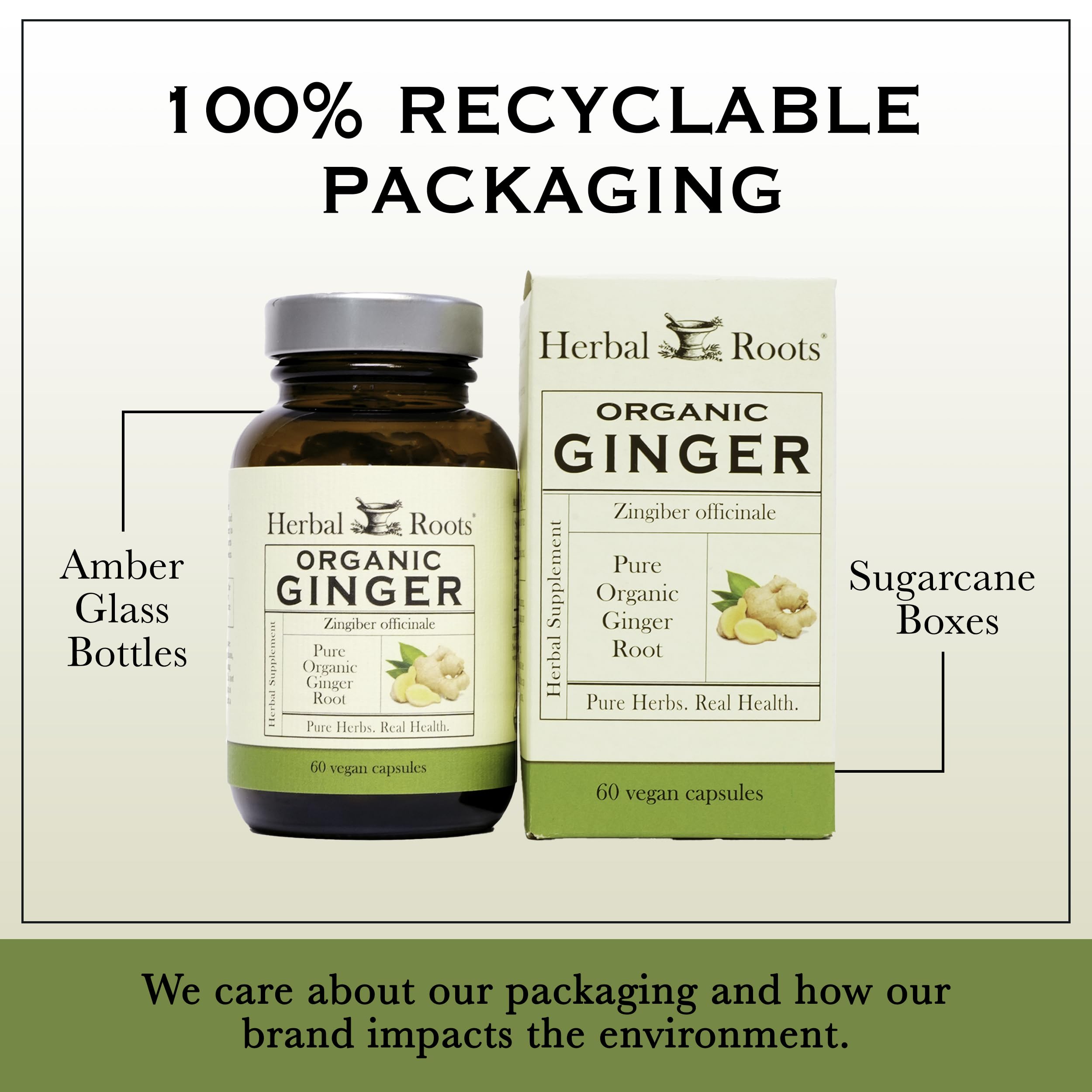 Herbal Roots Organic Ginger Capsules - Digestive Support - USDA Certified Organic - 60 Vegan Capsules