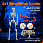 3Ft Skeleton & Dog Skeleton with Light Chain, Outdoor Halloween Decorations