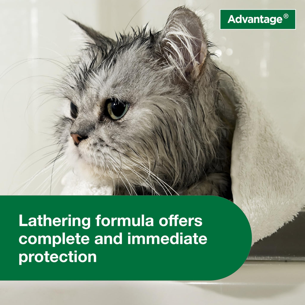 Advantage Treatment Shampoo for Cat and Kittens, Kills Fleas & Ticks, 8 oz.