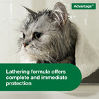Advantage Treatment Shampoo for Cat and Kittens, Kills Fleas & Ticks, 8 oz.