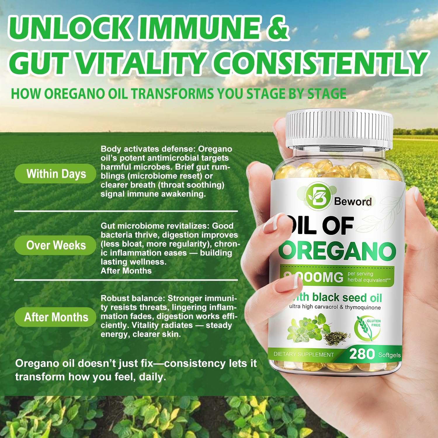 BEWORD Oil of Oregano with Black Seed Oil, 560 Softgels, 9000mg Per Serving | 2-in-1 Oregano Supplement for Immune Health with High Carvacrol & Thymoquinone | Plant-Based, Non-GMO