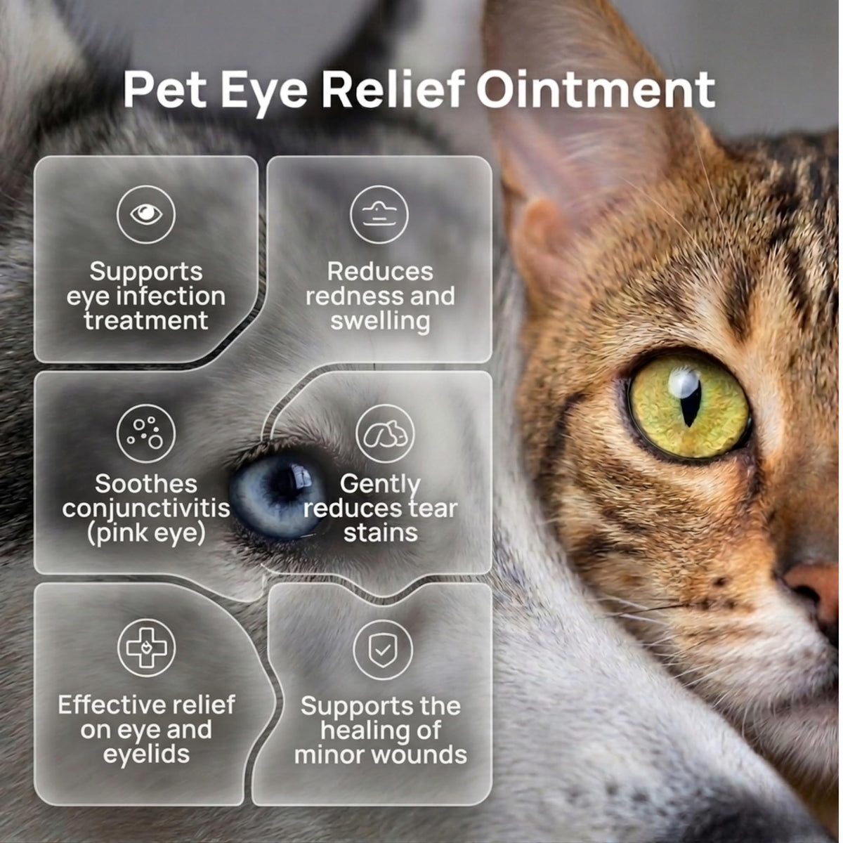 Pet Eye Cream – Vet-Formulated Dog Eye Infection Treatment, Pink Eye Relief, Conjunctivitis Relief, Dry Eyes & Red Eye, Tear Stain Remover for Dogs, Cats, Cattle, Sheep, Horses – 1 Tube