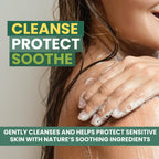 KESMEDIK Tea Tree Body Wash MaxTherapy with 100% Tea Tree Oil for Skin, Eucalyptus & Aloe Vera | Purifying Body Soap, Soothes & Refreshes Sensitive, Itchy Skin, Men & Women, 16 Fl Oz (Pack of 2)