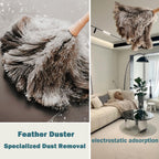 Buy now Feather Duster, Feather Dusters for Cleaning Ddzmz Fluffy Natural Genuine Ostrich Feathers with Wooden Handle Reusable Handheld Ostrich Feather Duster Cleaning Supplies, Gray and Brown(Length 16") at indiglob india