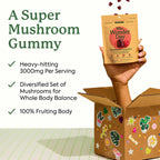 Plant People WonderDay Mushroom Gummies for Energy, Raspberry, 60ct | Chaga Mushroom Supplement to Support Immune System De-Stress Boost Mood & Energy in Adults Natural, Vegan, Non-GMO