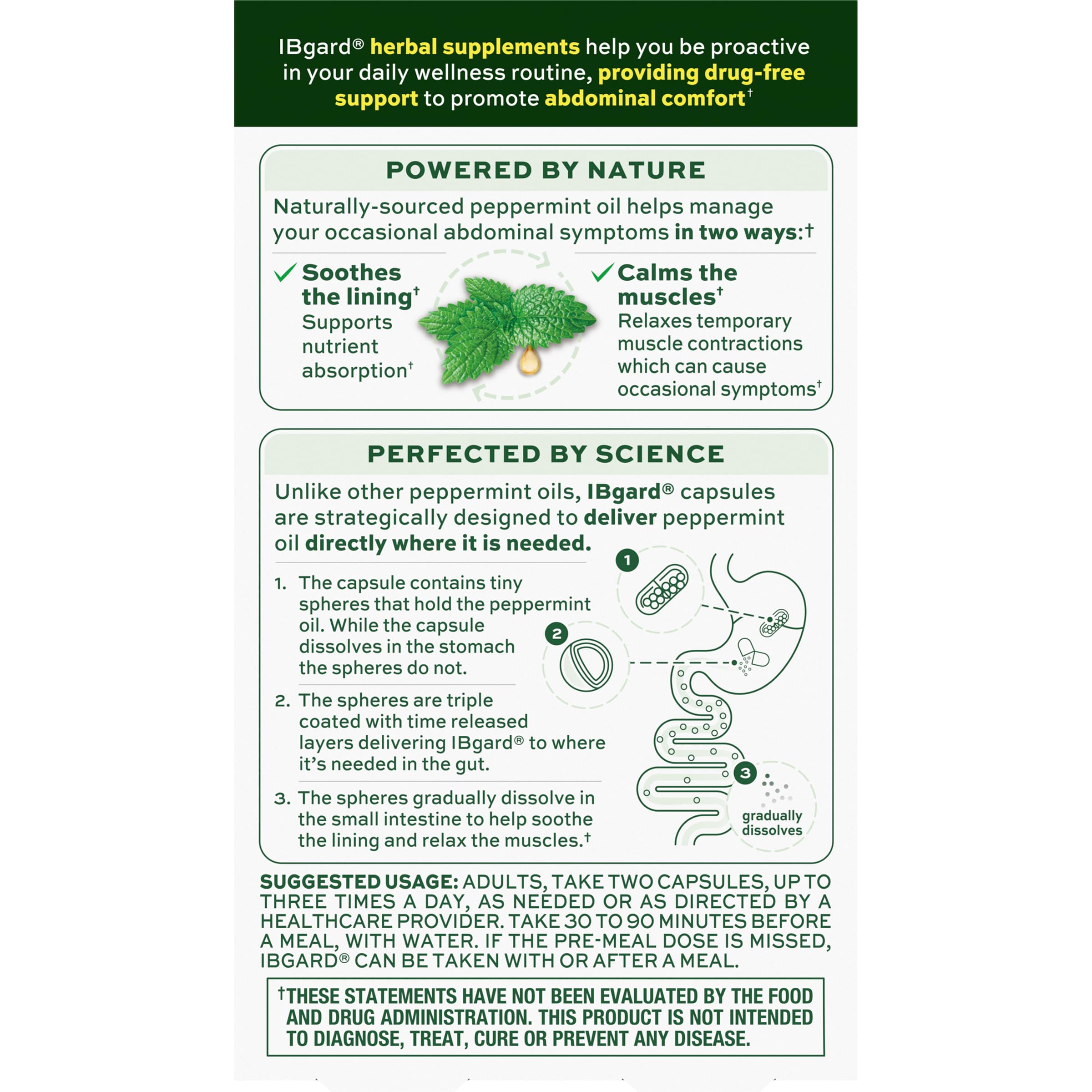 IBgard Peppermint Oil Capsules, 12 Capsules | Gut Health Supplement, Peppermint Oil for Abdominal Comfort