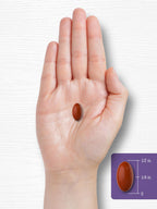 Carlyle Lavender Pills | 80 mg | 120 Softgel Capsules