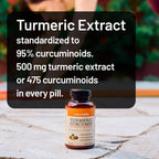 NatureWise Turmeric Curcumin 500mg Supplement with BioPerine, 30 Softgels | Extra Strength 95% Curcuminoids - Black Pepper Extract for Absorption - Immune Support - 1-Month Supply