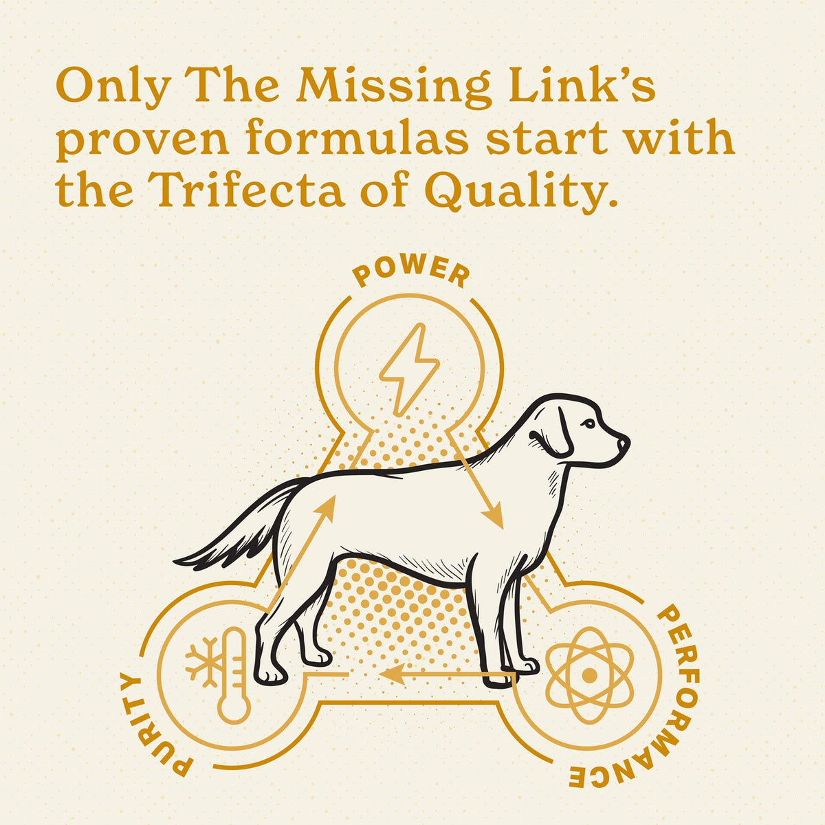 The Missing Link Skin & Coat Superfood Supplement Powder, Dogs, 1 lb